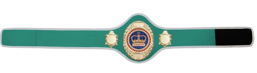 CHAMPIONSHIP BELT PRO286/G/BLUGEM - AVAILABLE IN 10+ COLOURS